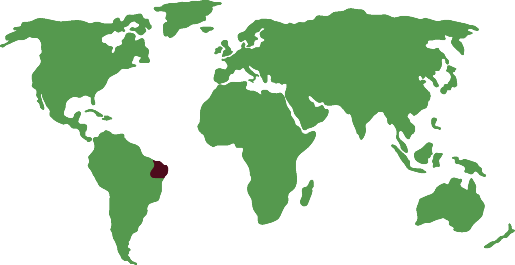 Distribución de Tití común